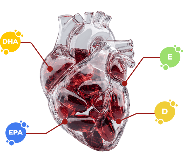 Ilustrace srdce s vitamíny